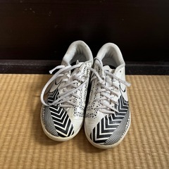 NIKE フットサルシューズの画像
