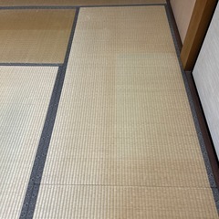 畳　1枚の画像