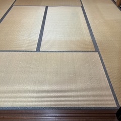 畳　1枚の画像