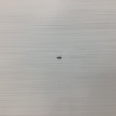 【安心の1年動作保証付き】SHARPの2ドア冷蔵庫の画像