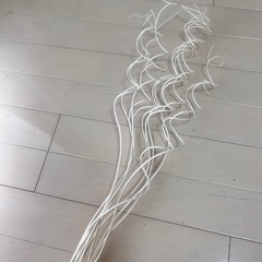 ドライフラワー・ドライツリーの画像
