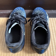 アディダス　トレーニングシューズの画像