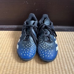 アディダス　トレーニングシューズの画像