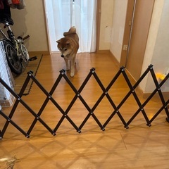 伸縮性ゲートの画像