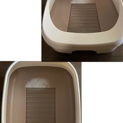 猫のトイレの画像