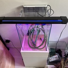 水槽　LEDライト
の画像