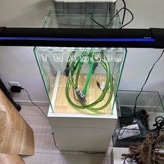 水槽　LEDライト
の画像