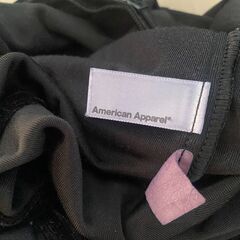 古着アメリカンアパレル スカートXS、アナスイ 靴下の画像