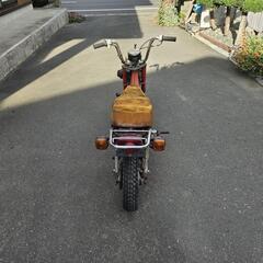 シャリー　希少　現在不動の画像