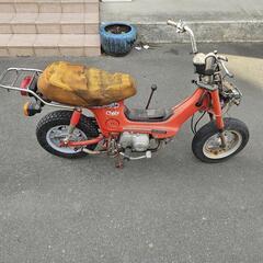 シャリー　希少　現在不動の画像