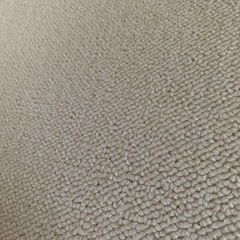 じゅうたん　小さめ　未使用　の画像