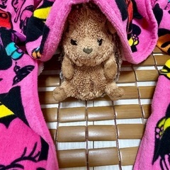フード付きタオル、ディズニーリゾートの画像