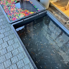 第3回いちょうの湯夏祭りの画像