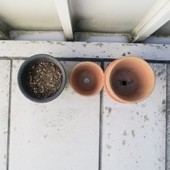 駄音鉢、プラ鉢の画像