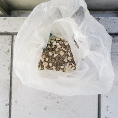駄音鉢、プラ鉢の画像
