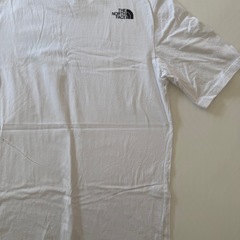 THE NORTH FACE メンズTシャツの画像