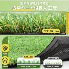 人工芝 ロール 2mx10m リアル感 芝丈30mm 高耐久 透水タイプ 防草シート 48本ピン付き フレッシュグリーン (2×10m)の画像