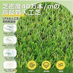 人工芝 ロール 2mx10m リアル感 芝丈30mm 高耐久 透水タイプ 防草シート 48本ピン付き フレッシュグリーン (2×10m)の画像