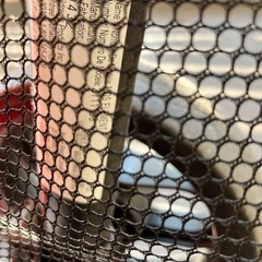 ★無料★海外製　Graco　stroller　element 
ベビーカー　の画像