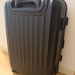 New Trip スーツケース 機内持ち込みサイズの画像