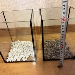 【商談中】
闘魚用水槽の画像