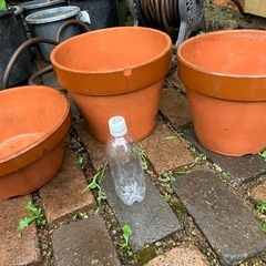 植木鉢たくさんの画像