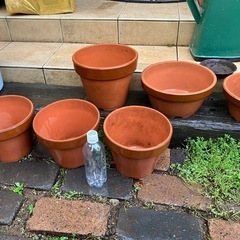 植木鉢たくさんの画像