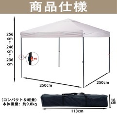 ApeexCanopy タープテント 2.5m×2.5m 【専用横幕/サイドシート3枚付属】 
の画像