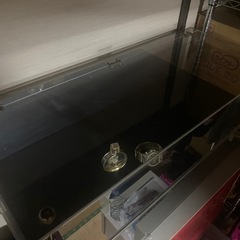 アクリルコレクションケース‼️の画像