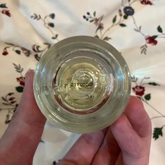 Maison Margiela REPLICA Under the Lemon Treesの画像