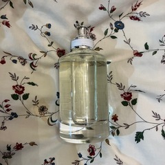 Maison Margiela REPLICA Under the Lemon Treesの画像