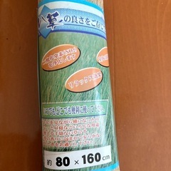 新品・未使用！ い草シーツ 80×160㎝の画像
