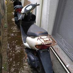ライブ  ディオ ＺＸ の画像