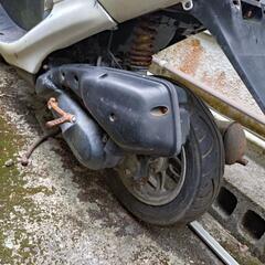 ライブ  ディオ ＺＸ の画像