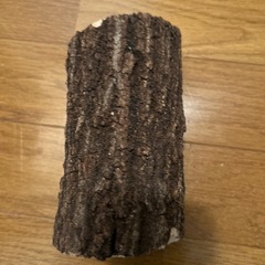 クワガタ虫産卵用朽ち木の画像