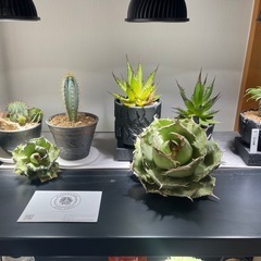 スチールラックの画像