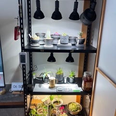 スチールラックの画像