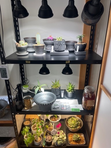 スチールラック