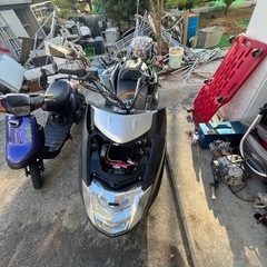 マグザム250売り
の画像