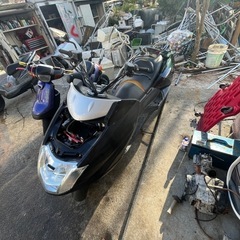 マグザム250売り
の画像