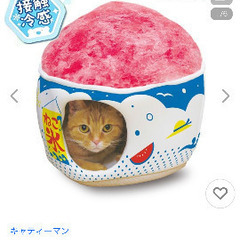 猫　犬　ベッドの画像