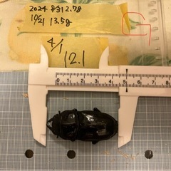 今年羽化した能勢YG847系 オオクワガタ ペア  B　♂オス75mm& G ♀メス51mmの画像