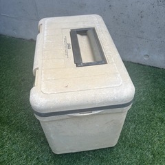 クーラーボックス22ℓの画像