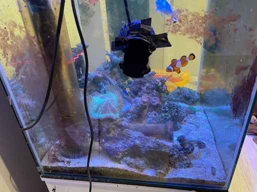海水水槽　