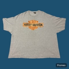 ✨希少✨ハーレーダビッドソンTシャツ 5XL ビッグサイズ バイカー USA古着の画像