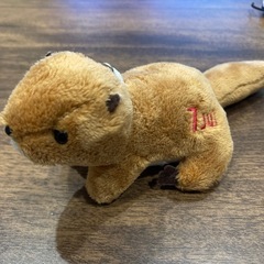 ぬいぐるみ（動物）の画像