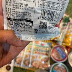 賞味期限2026年ペットフード！先着の方の画像