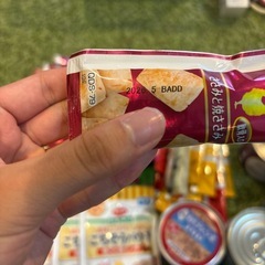 賞味期限2026年ペットフード！先着の方の画像