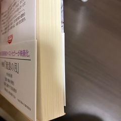 流浪の月の画像