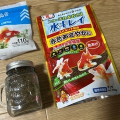 金魚飼育セットの画像